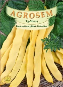 resized300_Fasole urcatoare - Golden Gate (80 g) seminte fasole, Agrosem.webp Golden Gate 80g - Seminte fasole urcatoare, pastaie lata galbena, frageda, fara ate, productie ridicata, Agrosem